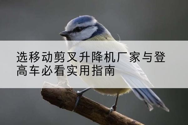 博尔塔拉电动升降机厂家-选移动剪叉升降机厂家与登高车必看实用指南