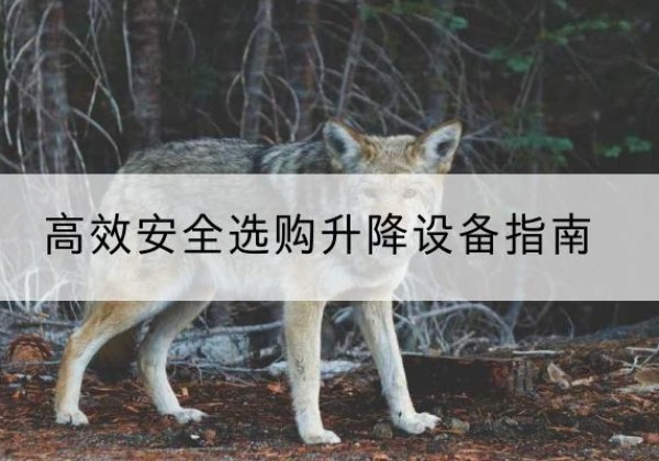 博尔塔拉升降货梯厂家推荐-*安全选购升降设备指南