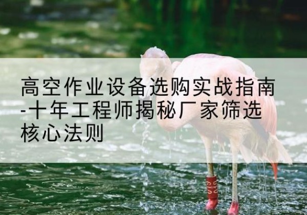 博尔塔拉剪叉式升降机厂家-高空作业设备选购实战指南-十年工程师揭秘厂家筛选核心法则